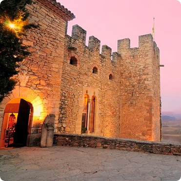 Castell de Montsonis